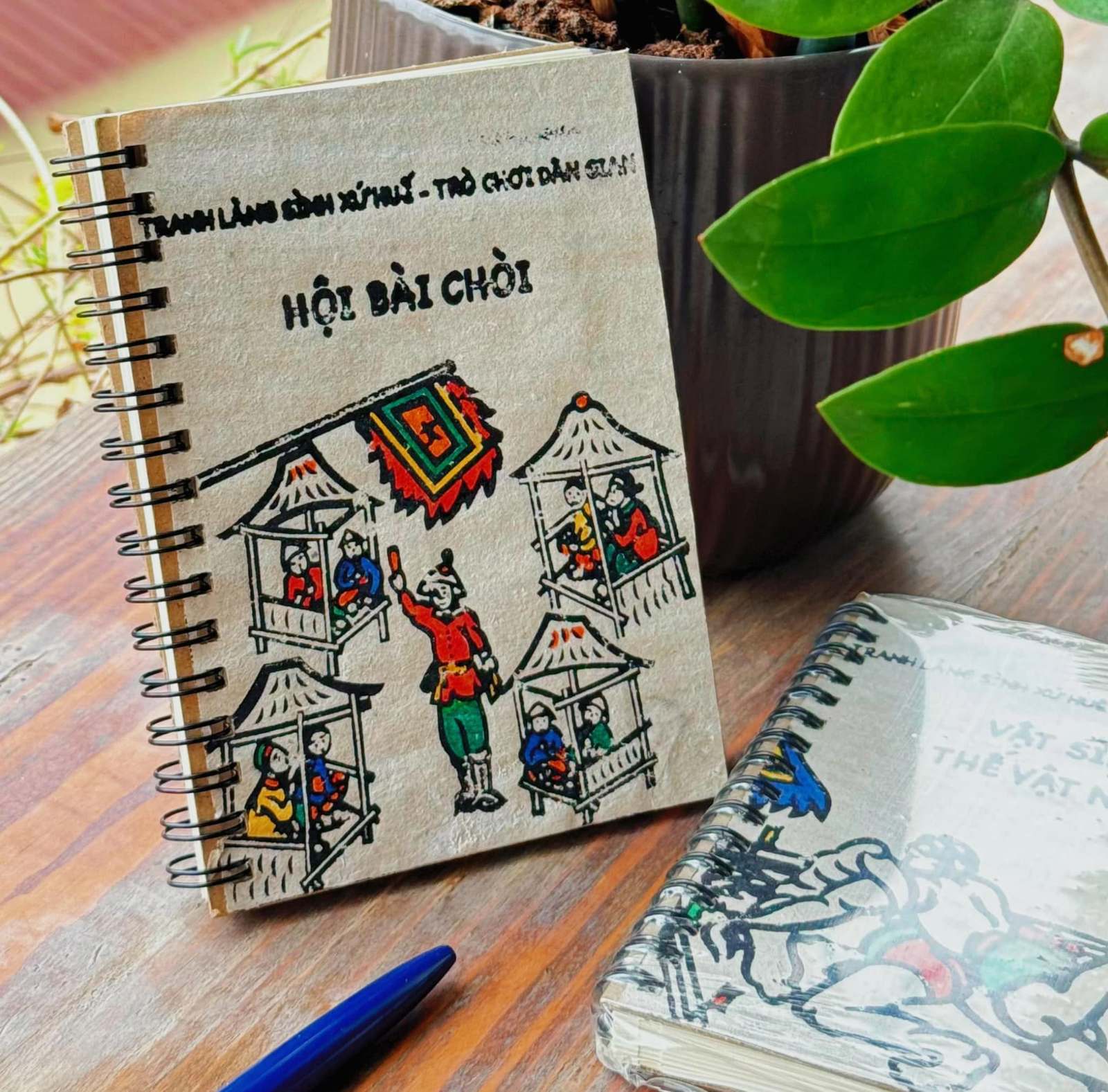 Sình Village Notebook