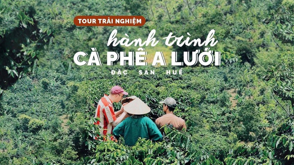 Tour nông trại cà phê A Lưới (trong ngày)